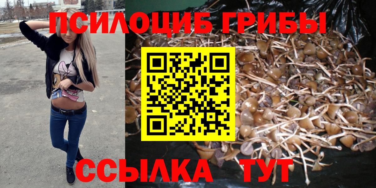 Псилоцибиновые грибы Cubensis  Вход с VPN  Галлюциногенные грибы мицелий  Новоуральск 