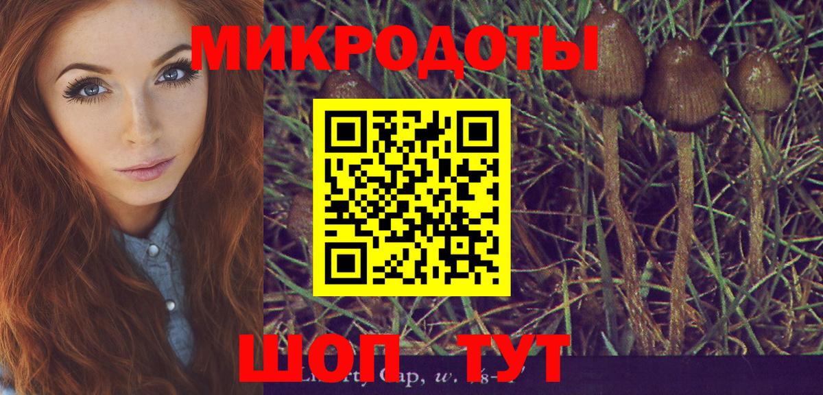 Галлюциногенные грибы GOLDEN TEACHER Новоуральск